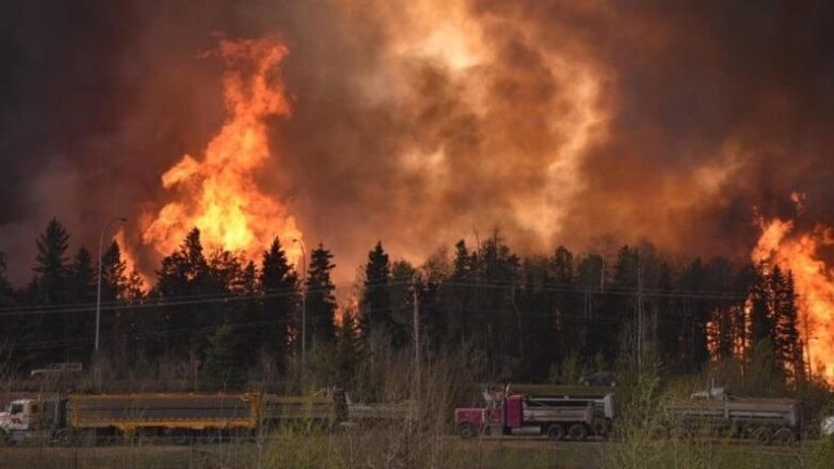 wildfire
