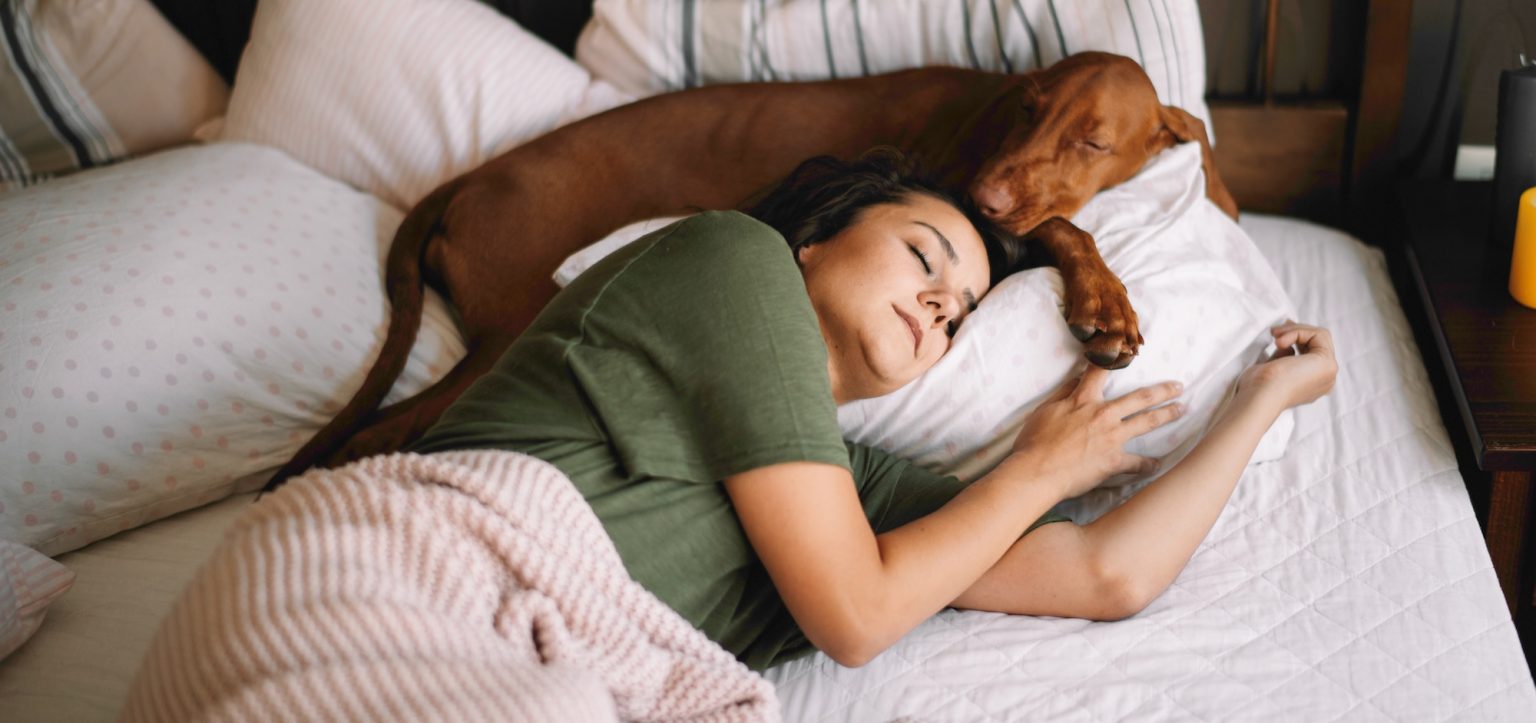 Exceptional Comfort